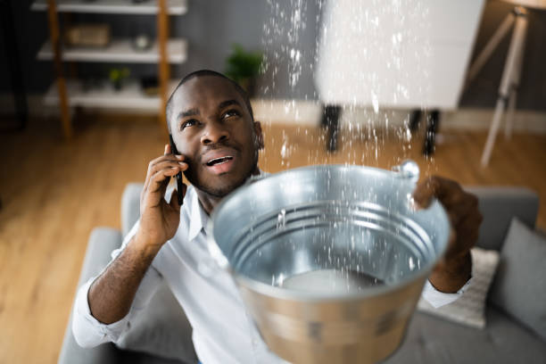 Best Water damage restoration experts  in Newton, MS