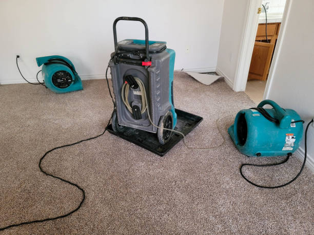Best Ceiling water damage repair  in Newton, MS