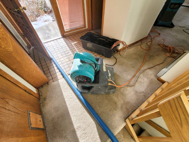 Best Water damage contractors near me  in Newton, MS