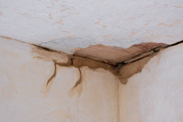 Best Water damage restoration near me  in Newton, MS