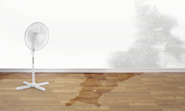 Best Commercial water damage restoration  in Newton, MS