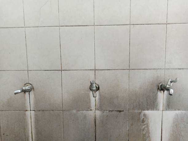 Best Flood restoration services  in Newton, MS