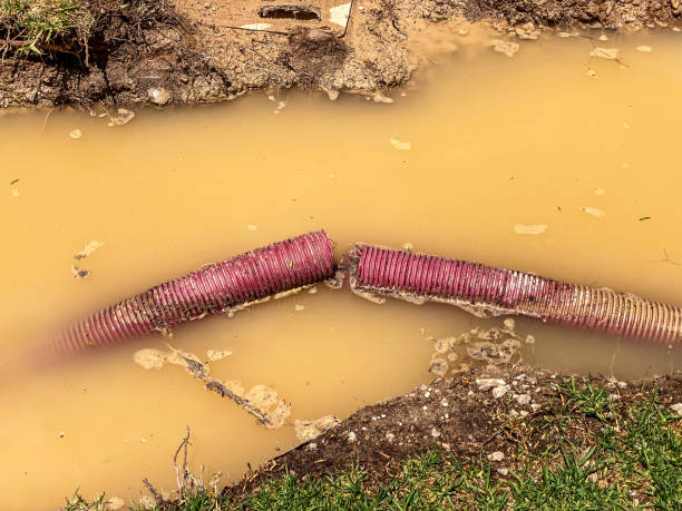 Reliable Newton, MS Water damage restoration Solutions