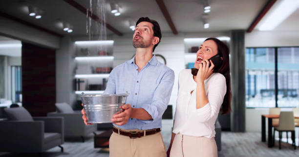 Best Local water damage restoration  in Newton, MS