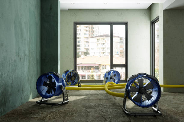 Best Local water damage restoration  in Newton, MS